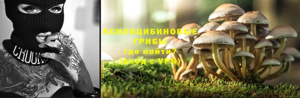 прущие грибы Киренск
