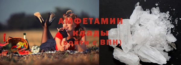 шишки Карпинск