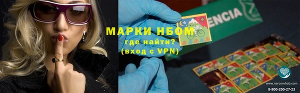 прущие грибы Киренск