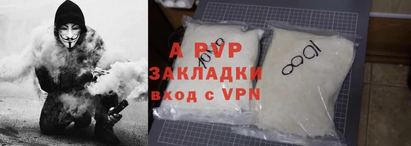 прущие грибы Киренск