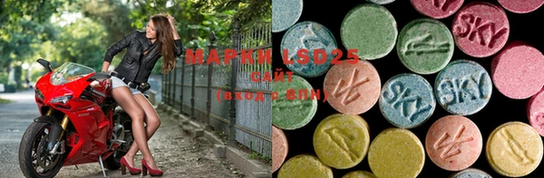 прущие грибы Киренск