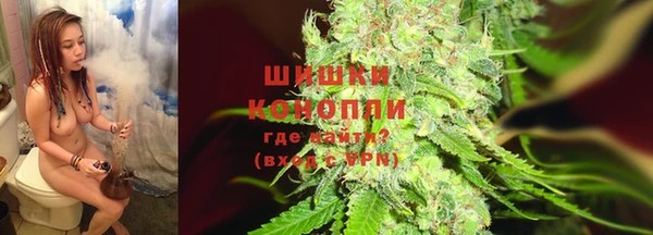 прущие грибы Киренск