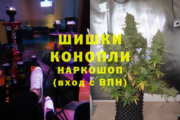 прущие грибы Киренск