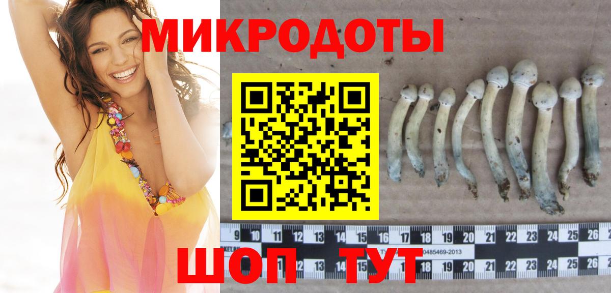 Котовск  Галлюциногенные грибы мицелий  Галлюциногенные грибы мухоморы  Вход с VPN 